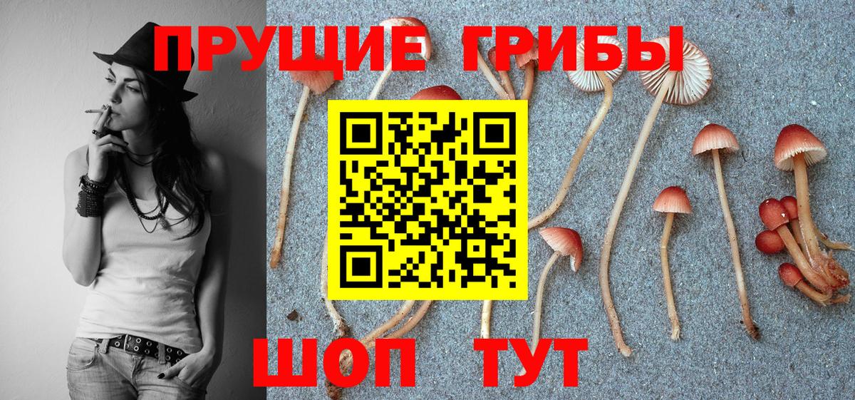 Псилоцибиновые грибы мицелий  Вход с VPN  Сергиев Посад  Галлюциногенные грибы прущие грибы 
